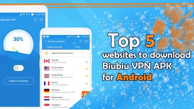 Biubiu VPN