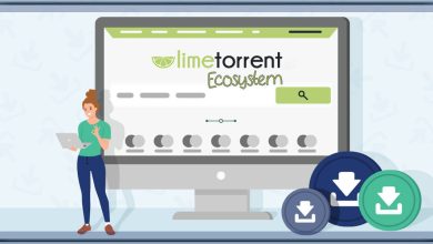 A Definitive Overview of the LimeTorrents Ecosystem