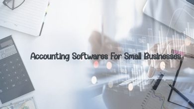 Best Accounting Software Options For Small Businesses